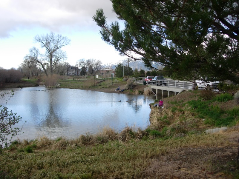 Martin Slough Natural Trail and Park - Gardnerville